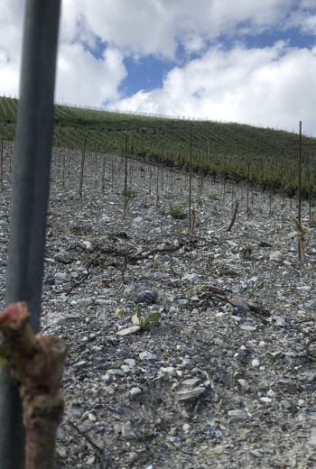 La Rèze est de retour !